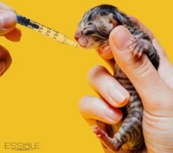 ESSIBLE Spuit - Spuiten - Injectiespuit - Doseerspuit - Injectiespuit Zonder Naald - 1ml - 20 Stuks 11 ESSIBLE Spuit - Spuiten - Injectiespuit - Doseerspuit - Injectiespuit Zonder Naald - 1ml - 20 Stuks -Winkel Voor Ehbo-Apparatuur 1200x1060 2