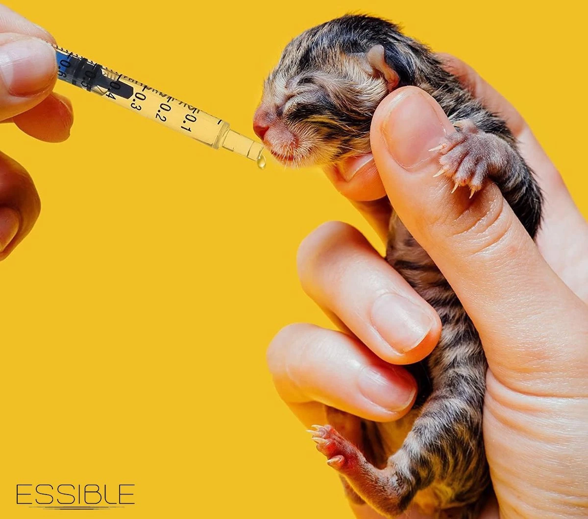 ESSIBLE Spuit - Spuiten - Injectiespuit - Doseerspuit - Injectiespuit Zonder Naald - 1ml - 20 Stuks 5 ESSIBLE Spuit - Spuiten - Injectiespuit - Doseerspuit - Injectiespuit Zonder Naald - 1ml - 20 Stuks - Afbeelding 5