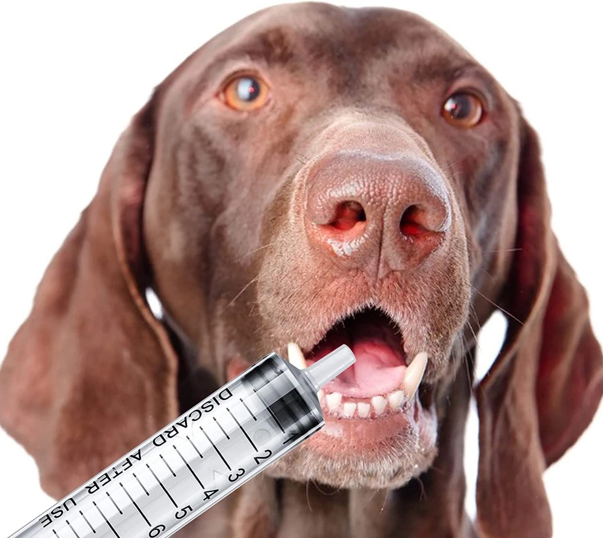 ESSIBLE Spuit - Spuiten - Injectiespuit - Doseerspuit - Injectiespuit Zonder Naald - 20ml - 20 Stuks 2 ESSIBLE Spuit - Spuiten - Injectiespuit - Doseerspuit - Injectiespuit Zonder Naald - 20ml - 20 Stuks - Afbeelding 2