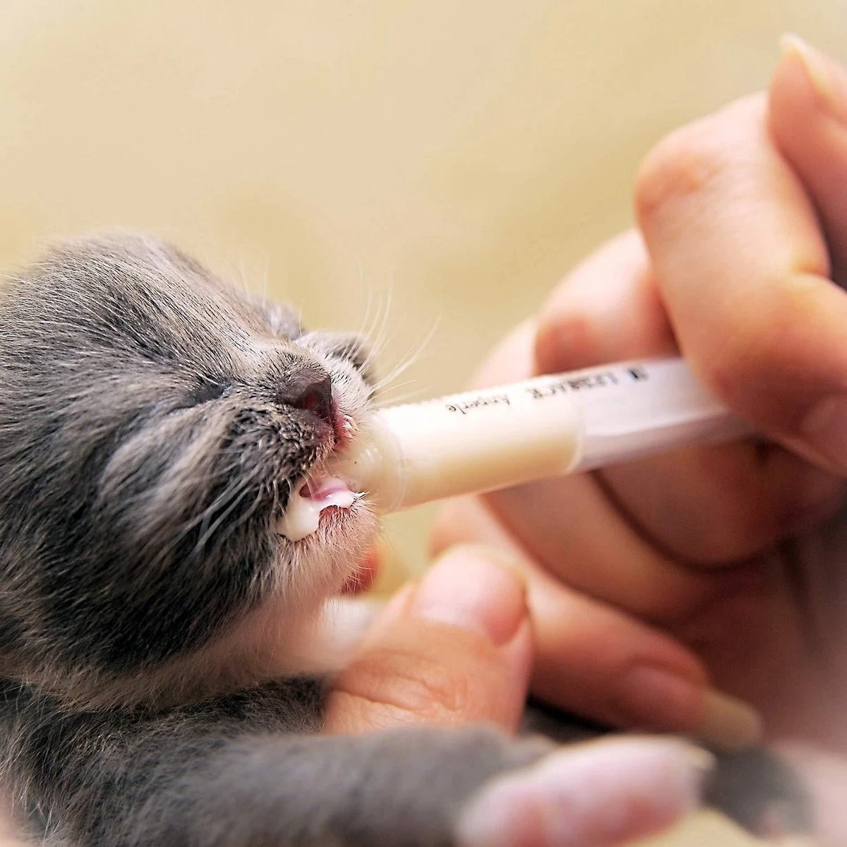 Merkloos Spuit - Spuiten - Injectiespuit - Doseerspuit - Injectiespuit Zonder Naald - 10ml - 20 Stuks 4 Merkloos Spuit - Spuiten - Injectiespuit - Doseerspuit - Injectiespuit Zonder Naald - 10ml - 20 Stuks - Afbeelding 4