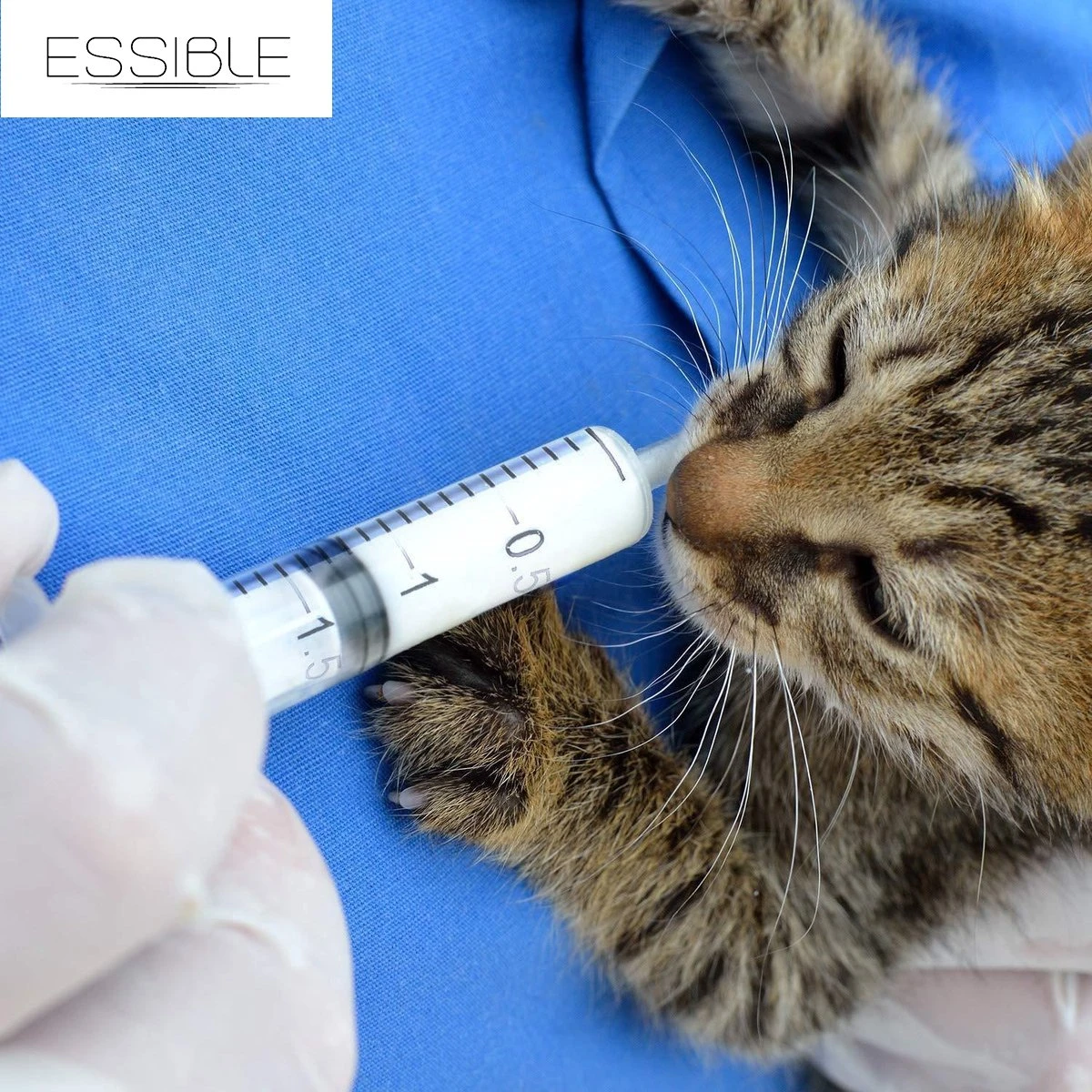 ESSIBLE Spuit - Spuiten - Injectiespuit - Doseerspuit - Injectiespuit Zonder Naald - 5ml - 20 Stuks 2 ESSIBLE Spuit - Spuiten - Injectiespuit - Doseerspuit - Injectiespuit Zonder Naald - 5ml - 20 Stuks - Afbeelding 2