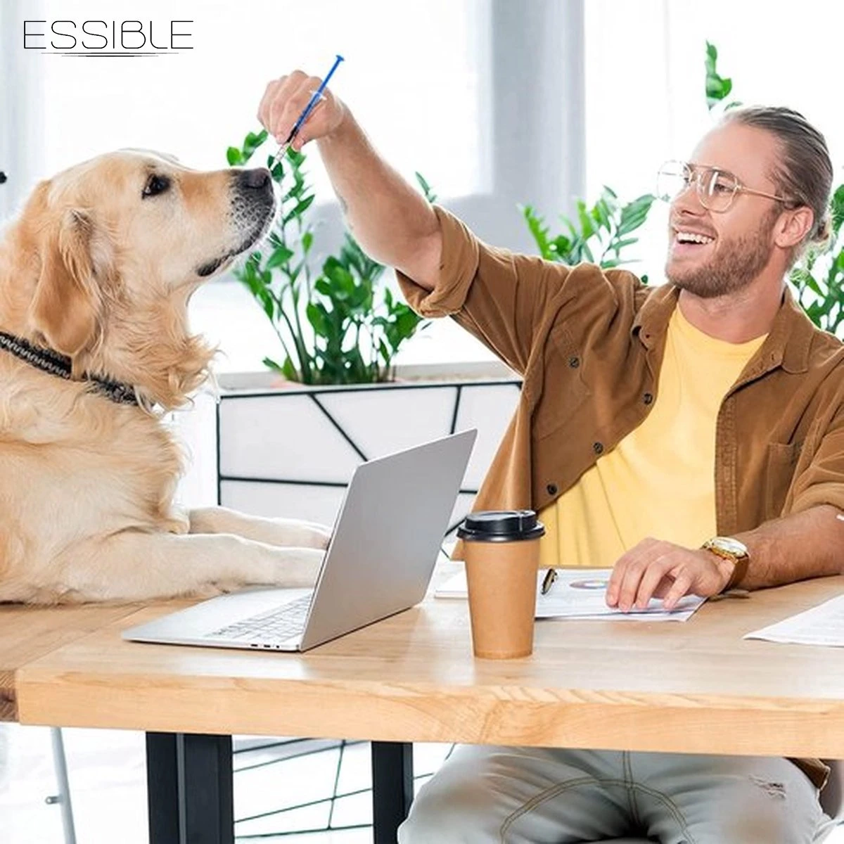 ESSIBLE Spuit - Spuiten - Injectiespuit - Doseerspuit - Injectiespuit Zonder Naald - 1ml - 20 Stuks 3 ESSIBLE Spuit - Spuiten - Injectiespuit - Doseerspuit - Injectiespuit Zonder Naald - 1ml - 20 Stuks - Afbeelding 3