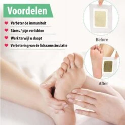 Detox Voetpleister - 60 Stuks - 30 Paar - Zuivert Je Lichaam - Detox Kuur 12 Detox Voetpleister - 60 Stuks - 30 Paar - Zuivert Je Lichaam - Detox Kuur -Winkel Voor Ehbo-Apparatuur 1200x1200 79